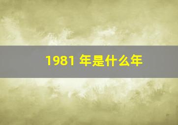 1981 年是什么年